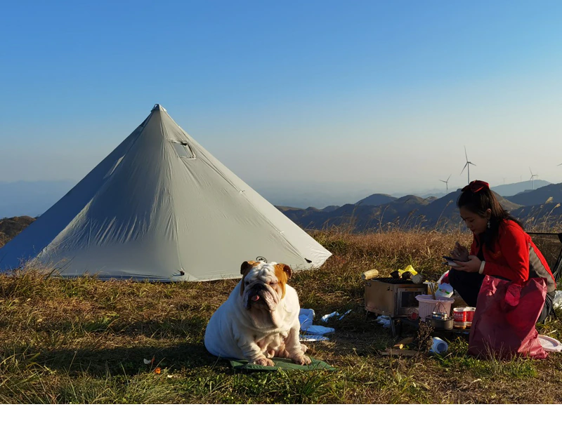 Cheap Goat Tents Aricxi 5 People Oudoor Ultralight Camping 2 Doors Professional 20d Nylon Silicon Coating Pyramid Rodless Tent