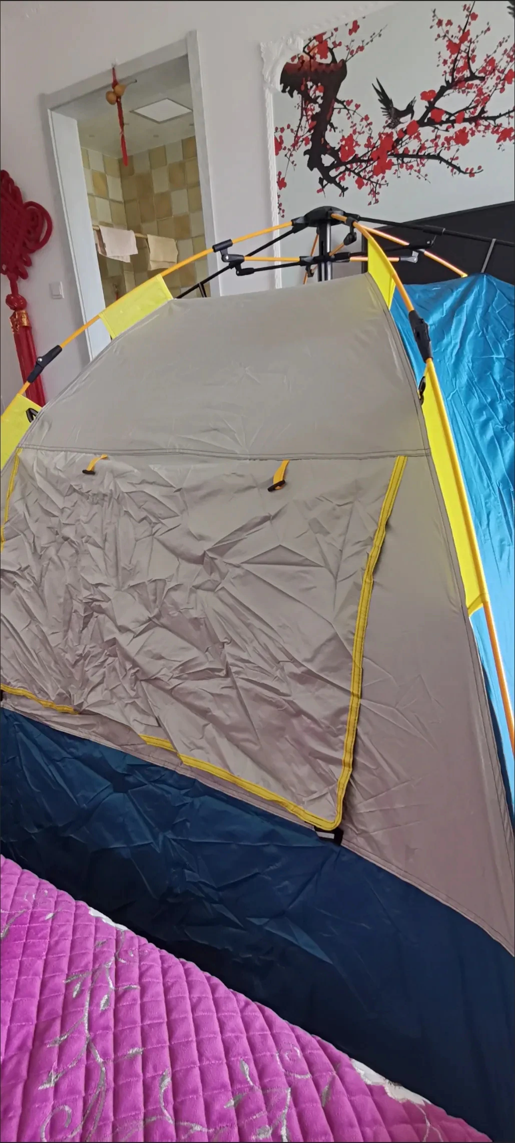 Cheap Goat Tents Tent Outdoor Folding Small House Home Single Double Field Camping Camping Supplies Rainproof Sunscreen Room Fully Automatic